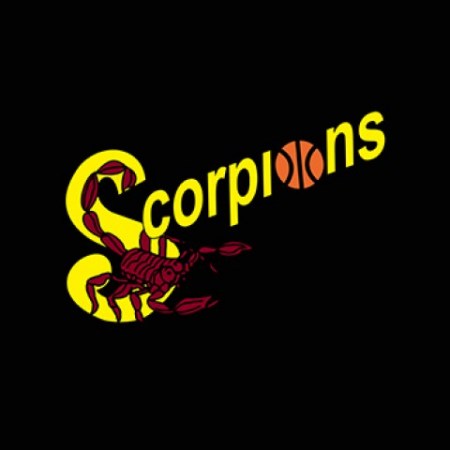 Team Shop Banners - Scorpions BMX_0x480